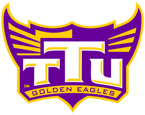 Tennessee Tech Golden Eagles 2006-Pres Alternate Logo v6 diy iron on heat transfer